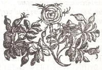 An illustration from Fortunii Liceti ... Ad Syringam Publilianam encyclopaedia : in qua Publilij Fistula describitur explicaturq[ue] tactis vetustioribus poematijs sphęrę, throni, labyrinthi, ac pepli (1635)