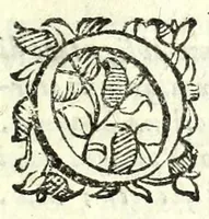 An illustration from Fortvnio : comedia nuoua (1593)