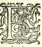 An illustration from Fortvnio : comedia nuoua (1593)