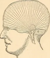 An illustration from Forty years in phrenology; embracing recollections of history, anecdote, and experience (1888)