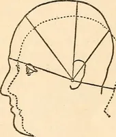 An illustration from Forty years in phrenology; embracing recollections of history, anecdote, and experience (1888)