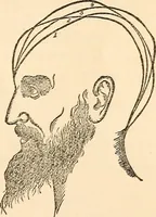 An illustration from Forty years in phrenology; embracing recollections of history, anecdote, and experience (1888)