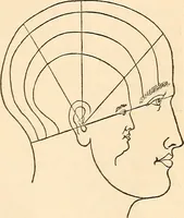 An illustration from Forty years in phrenology; embracing recollections of history, anecdote, and experience (1888)