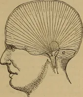 An illustration from Forty years in phrenology; embracing recollections of history, anecdote, and experience (1882)