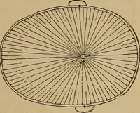 An illustration from Forty years in phrenology; embracing recollections of history, anecdote, and experience (1882)