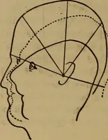 An illustration from Forty years in phrenology; embracing recollections of history, anecdote, and experience (1882)