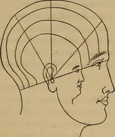 Picture 18 of 22 from Forty years in phrenology; embracing recollections of history, anecdote, and experience (1882), leaf 400