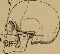 An illustration from Forty years in phrenology; embracing recollections of history, anecdote, and experience (1882)