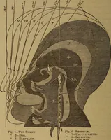 An illustration from Forty years in phrenology; embracing recollections of history, anecdote, and experience (1882)