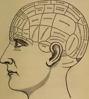 An illustration from Forty years in phrenology; embracing recollections of history, anecdote, and experience (1882)