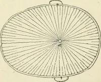 An illustration from Forty years in phrenology; embracing recollections of history, anecdote, and experience (1882)