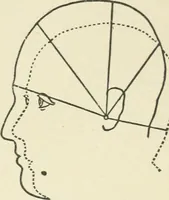 An illustration from Forty years in phrenology; embracing recollections of history, anecdote, and experience (1882)
