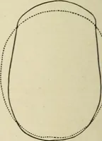 An illustration from Forty years in phrenology; embracing recollections of history, anecdote, and experience (1882)