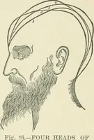 An illustration from Forty years in phrenology; embracing recollections of history, anecdote, and experience (1882)