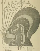 An illustration from Forty years in phrenology; embracing recollections of history, anecdote, and experience (1882)