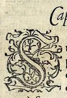 Picture 4 of 8 from Forvm Romanvm (1591), leaf 181