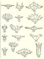 An illustration from Fostoria Glassware Price List Supplement 1961 (1961)