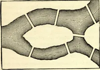 An illustration from The foundations of mathematics; a contribution to the philosophy of geometry (1908)