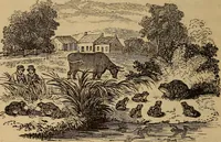 Picture 74 of 135 from The fountain : with jets of new meanings (1870), leaf 137