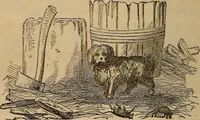 Picture 83 of 135 from The fountain : with jets of new meanings (1870), leaf 153