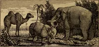 An illustration from The fountain : with jets of new meanings (1870)