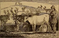 An illustration from The fountain : with jets of new meanings (1870)