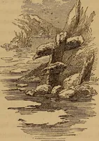 An illustration from The fountain : with jets of new meanings (1870)