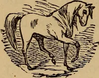 An illustration from The fountain : with jets of new meanings (1870)