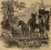 Picture 115 of 135 from The fountain : with jets of new meanings (1870), leaf 223