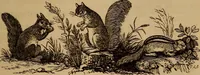An illustration from The fountain : with jets of new meanings (1870)