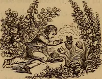 Picture 10 of 135 from The fountain : with jets of new meanings (1870), leaf 28