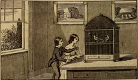 An illustration from The fountain : with jets of new meanings (1870)