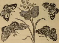 An illustration from The fountain : with jets of new meanings (1870)