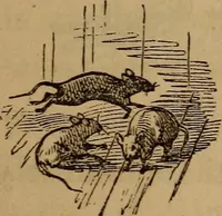 An illustration from The fountain : with jets of new meanings (1870)
