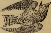 An illustration from The fountain : with jets of new meanings (1870)