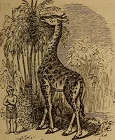 Picture 32 of 135 from The fountain : with jets of new meanings (1870), leaf 56