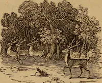 An illustration from The fountain : with jets of new meanings (1870)
