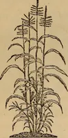 Picture 36 of 135 from The fountain : with jets of new meanings (1870), leaf 57