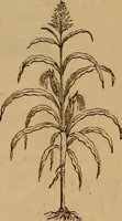 Picture 38 of 135 from The fountain : with jets of new meanings (1870), leaf 58