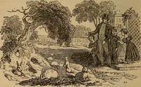 An illustration from The fountain : with jets of new meanings (1870)