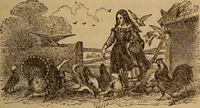 Picture 42 of 135 from The fountain : with jets of new meanings (1870), leaf 62