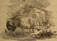 An illustration from The fountain : with jets of new meanings (1870)