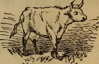 An illustration from The fountain : with jets of new meanings (1870)