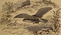 Picture 52 of 135 from The fountain : with jets of new meanings (1870), leaf 76