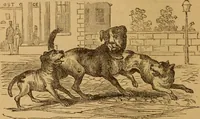 Picture 102 of 129 from The fountain; with jets of new meanings (1870), leaf 208