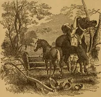 Picture 109 of 129 from The fountain; with jets of new meanings (1870), leaf 222