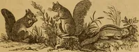 Picture 123 of 129 from The fountain; with jets of new meanings (1870), leaf 245