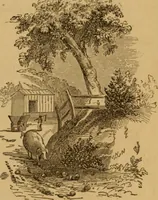 Picture 125 of 129 from The fountain; with jets of new meanings (1870), leaf 247