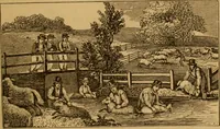 Picture 12 of 129 from The fountain; with jets of new meanings (1870), leaf 31