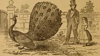 Picture 18 of 129 from The fountain; with jets of new meanings (1870), leaf 38